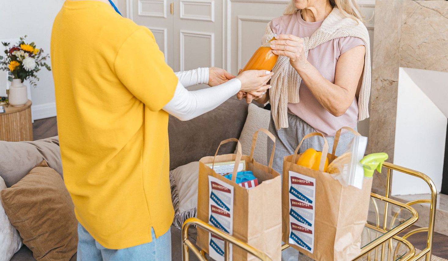 A senior woman receiving groceries from a young caregiver in a cozy living room setting.
